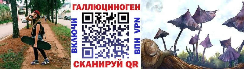 Галлюциногенные грибы Psilocybine cubensis  blacksprut сайт  Светлоград  магазин   